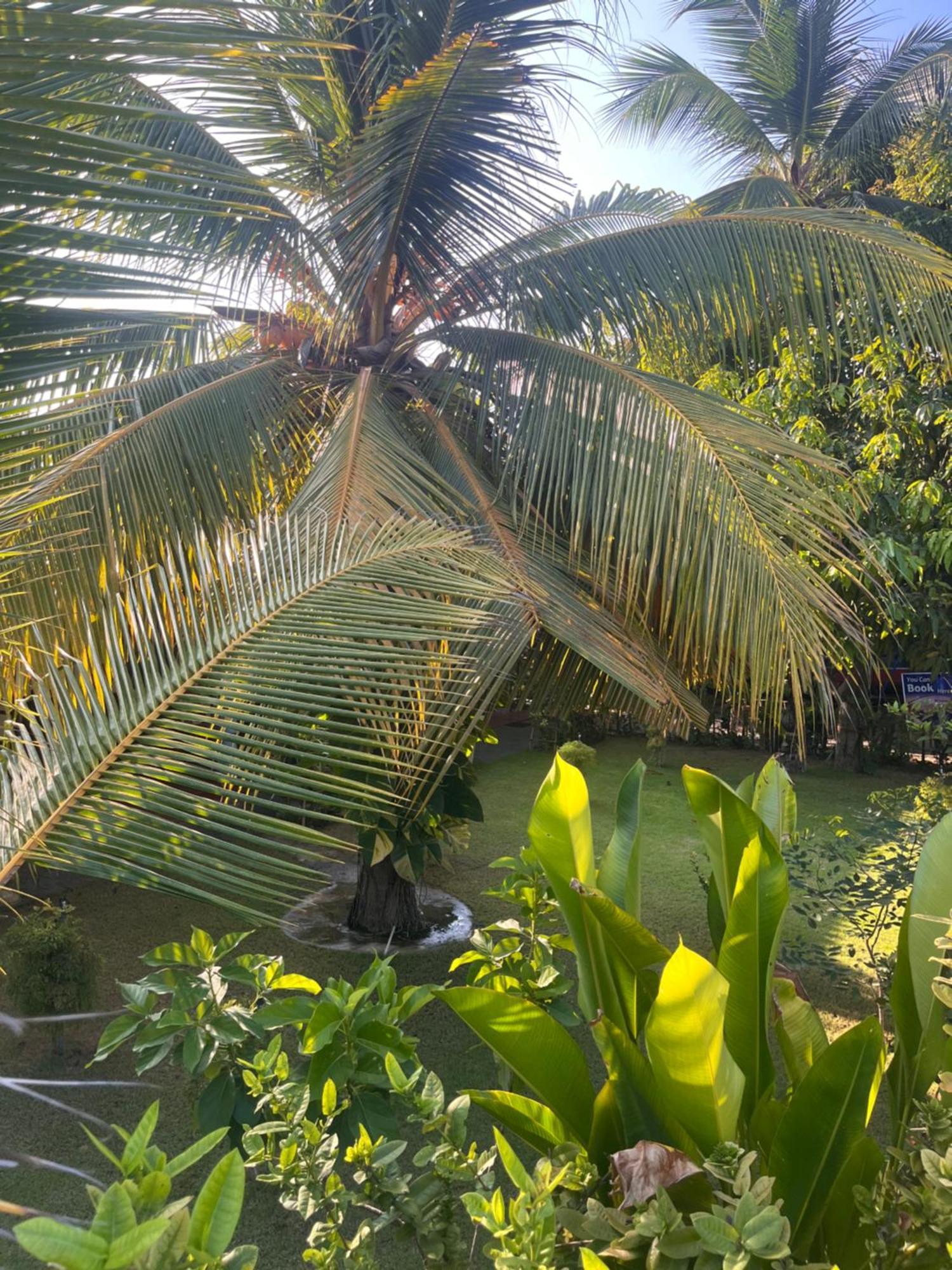 Lobster Inn Trincomalee Dış mekan fotoğraf