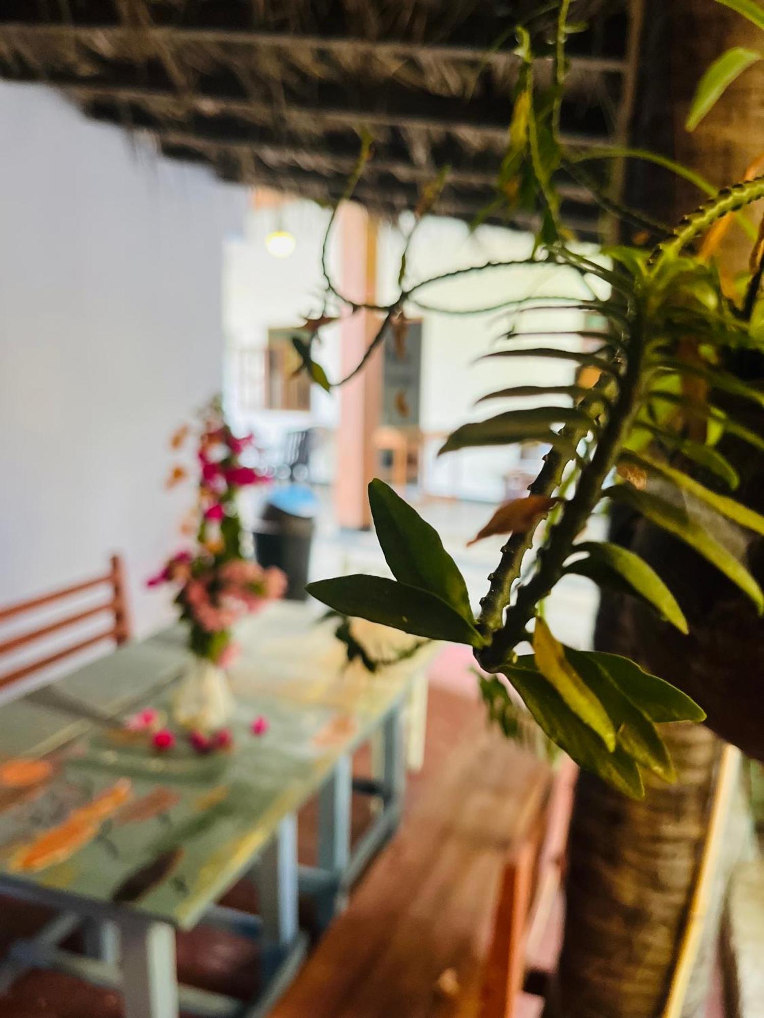 Lobster Inn Trincomalee Dış mekan fotoğraf